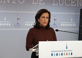 Lucena licita un servicio de consultoría y asistencia técnica para diagnosticar la situación de la vivienda