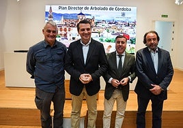 Naranjos, plátanos y almeces se reparten la mitad del arbolado de las calles de Córdoba