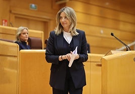 El PP incrementa su ofensiva parlamentaria por el avión turco, ahora en el Senado