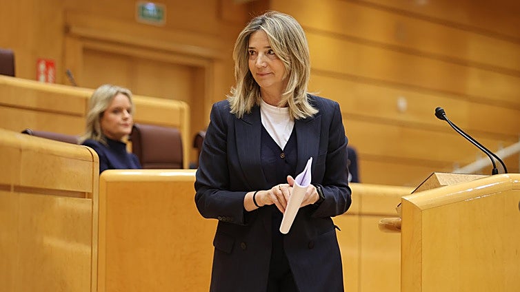 El PP incrementa su ofensiva parlamentaria por el avión turco, ahora en el Senado