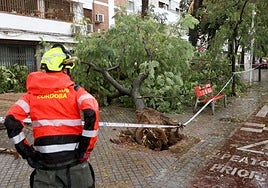 Los efectos de la borrasca Claudia en el Sector Sur de Córdoba, en imágenes