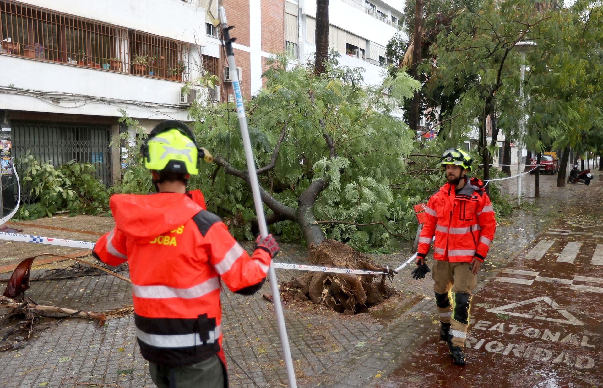 Los efectos de la borrasca Claudia en el Sector Sur de Córdoba, en imágenes