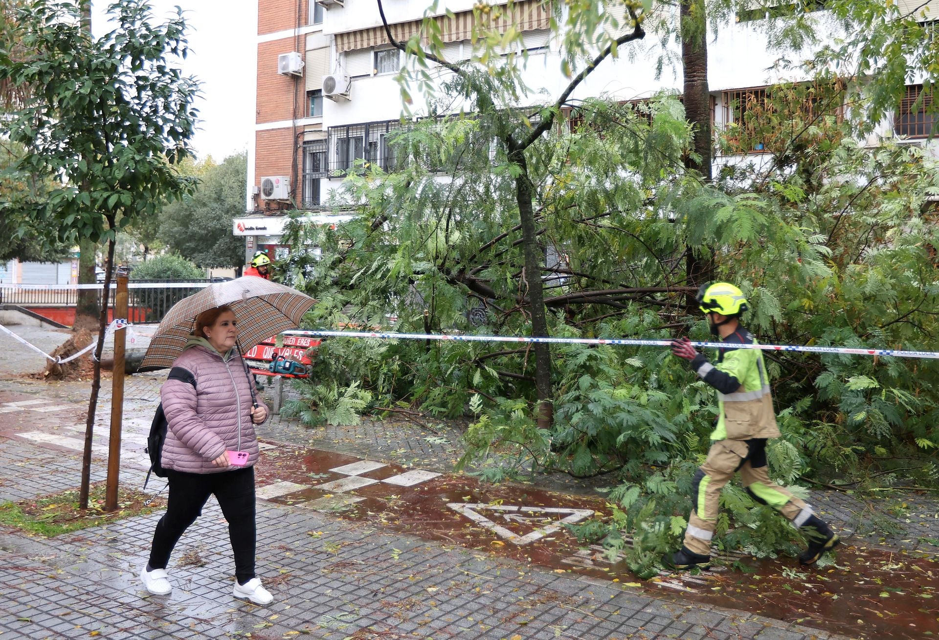 Los efectos de la borrasca Claudia en el Sector Sur de Córdoba, en imágenes