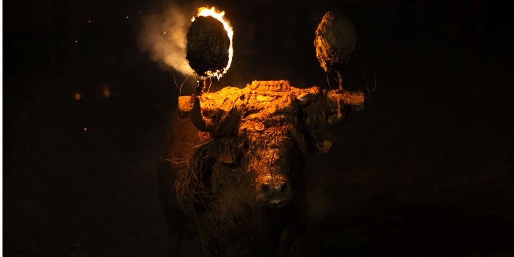 El Toro Jubilo vuelve a las calles de Medinaceli (Soria)