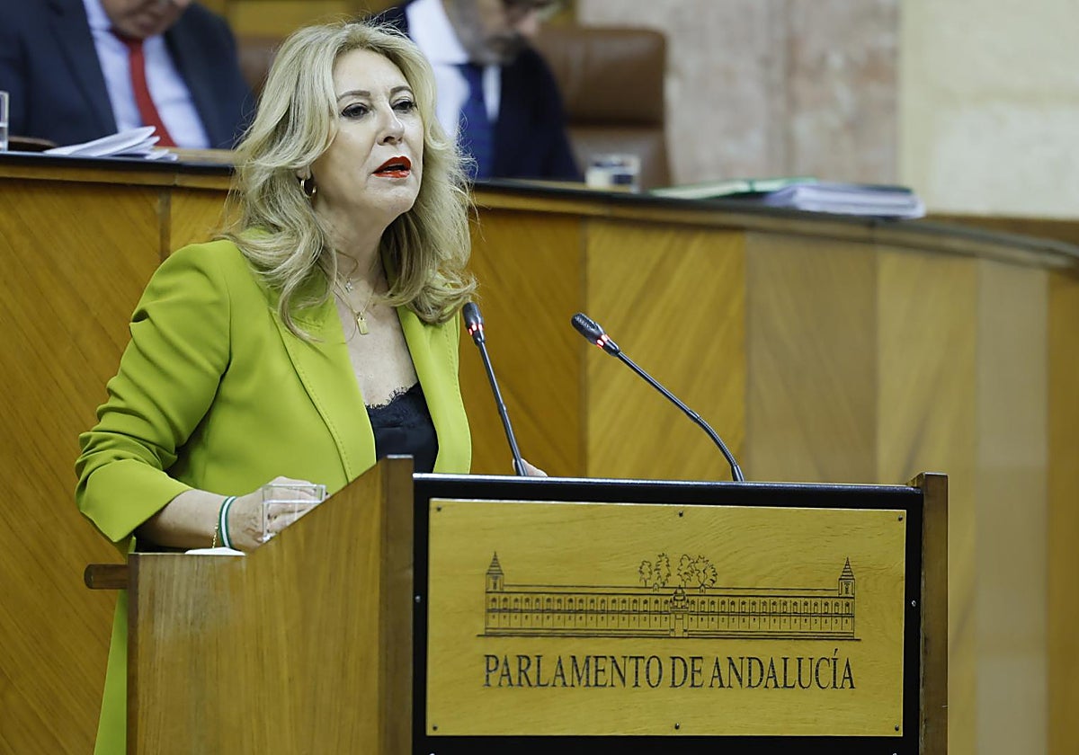 Carolina España en una intervención en el Parlamento Andaluz