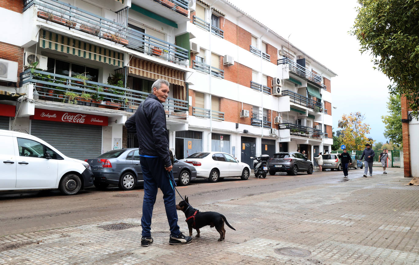 Las tareas de limpieza en avenida del Corregidor tras las fuertes lluvias en Córdoba, en imágenes