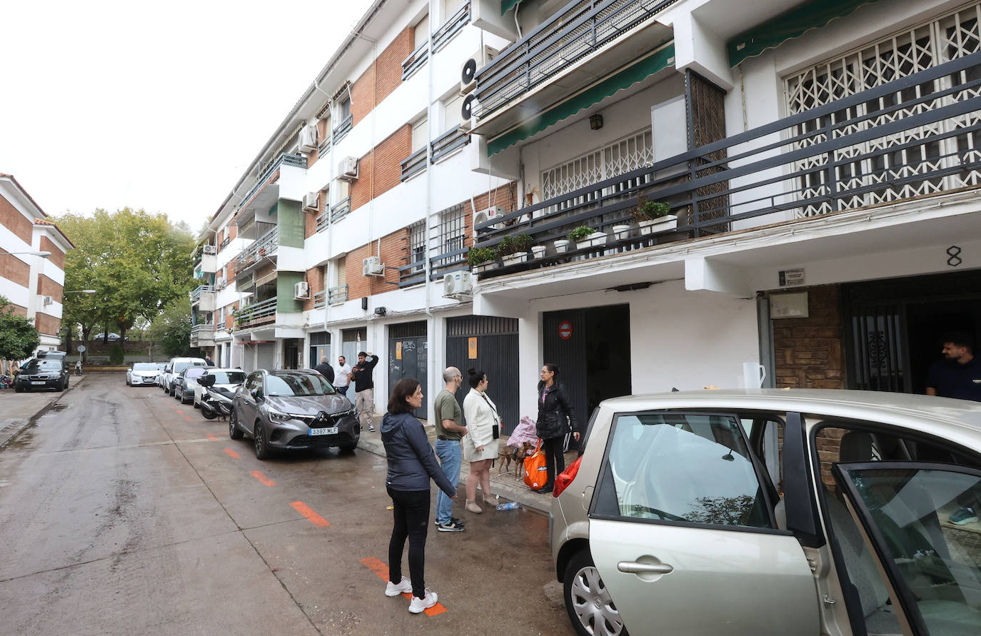 Las tareas de limpieza en avenida del Corregidor tras las fuertes lluvias en Córdoba, en imágenes