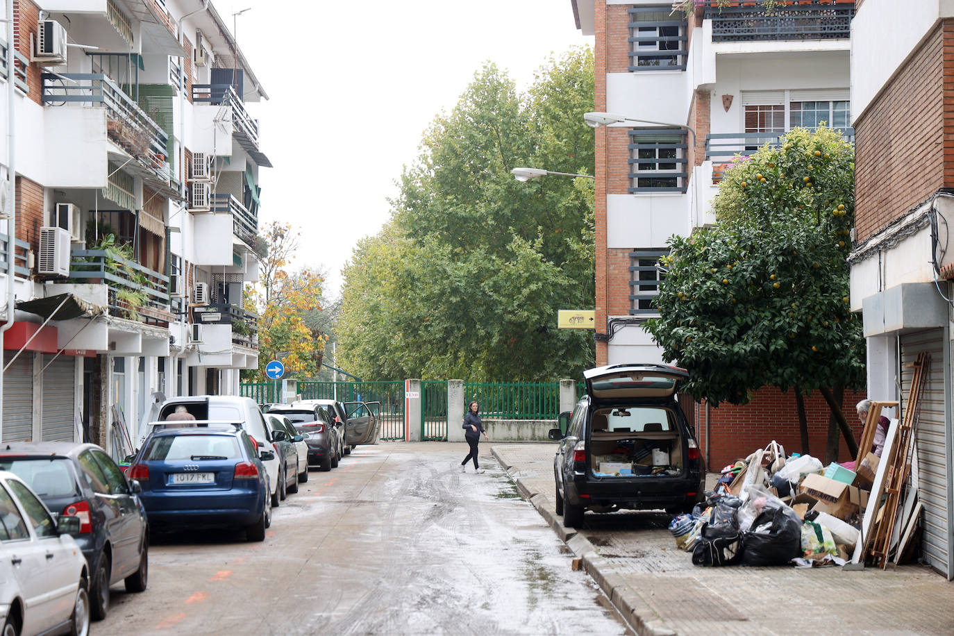 Las tareas de limpieza en avenida del Corregidor tras las fuertes lluvias en Córdoba, en imágenes