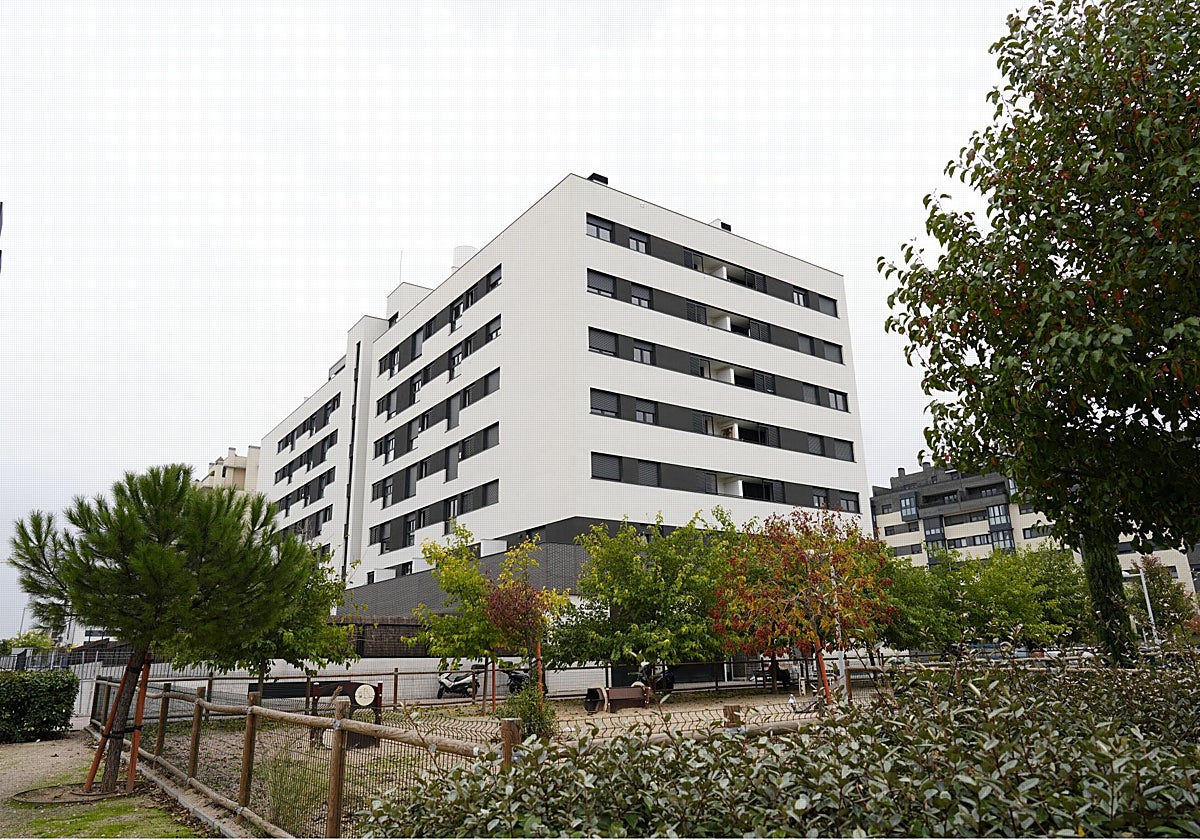 La urbanización de El Cañaveral afectada