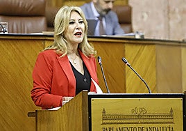 La Junta garantiza la colaboración con la Justicia tras la detención del presidente de la Diputación de Almería