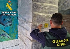Intervienen 20 toneladas de marisco y pescado no apto para el consumo humano en Palma: la mayoría llevaba almacenado desde 2019