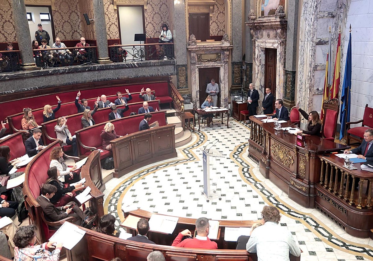 Imagen del pleno municipal de nociembre