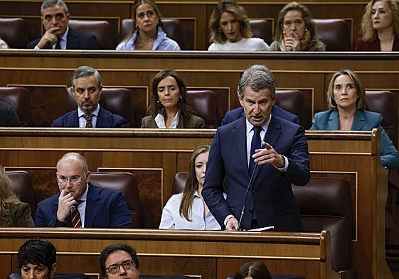 El presidente del PP, Alberto Núñez Feijóo, en la sesión de control del Congreso al Gobierno