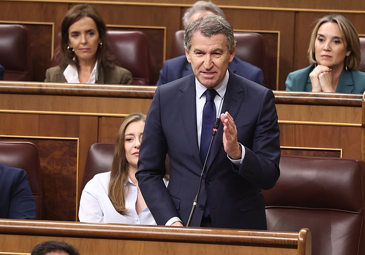 El presidente del Partido Popular, Alberto Núñez Feijóo