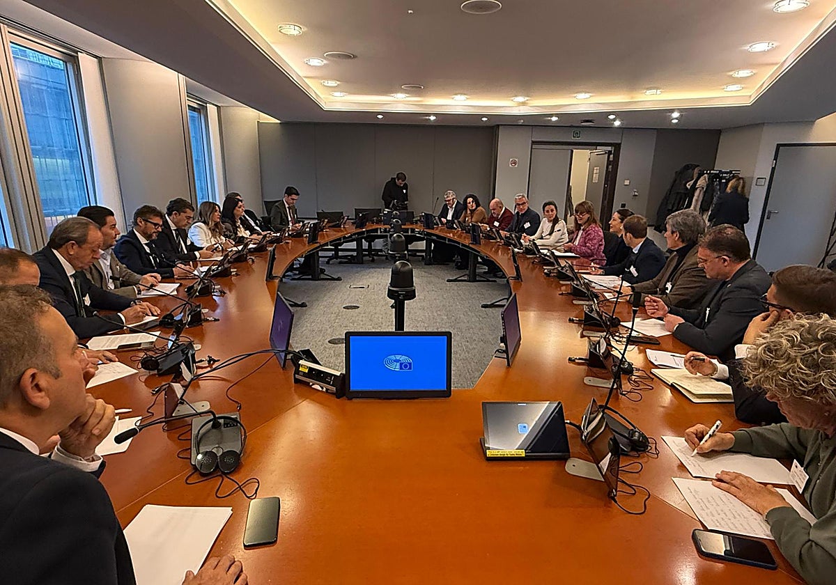 Delegación de alcaldes jiennenses en Bruselas