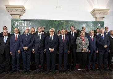 El Consejo Oleícola cierra su encuentro con una declaración para luchar contra el cambio climático