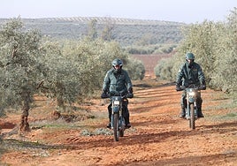 La Guardia Civil refuerza el dispositivo contra robos en el campo cordobés para la campaña agrícola 2025-2026