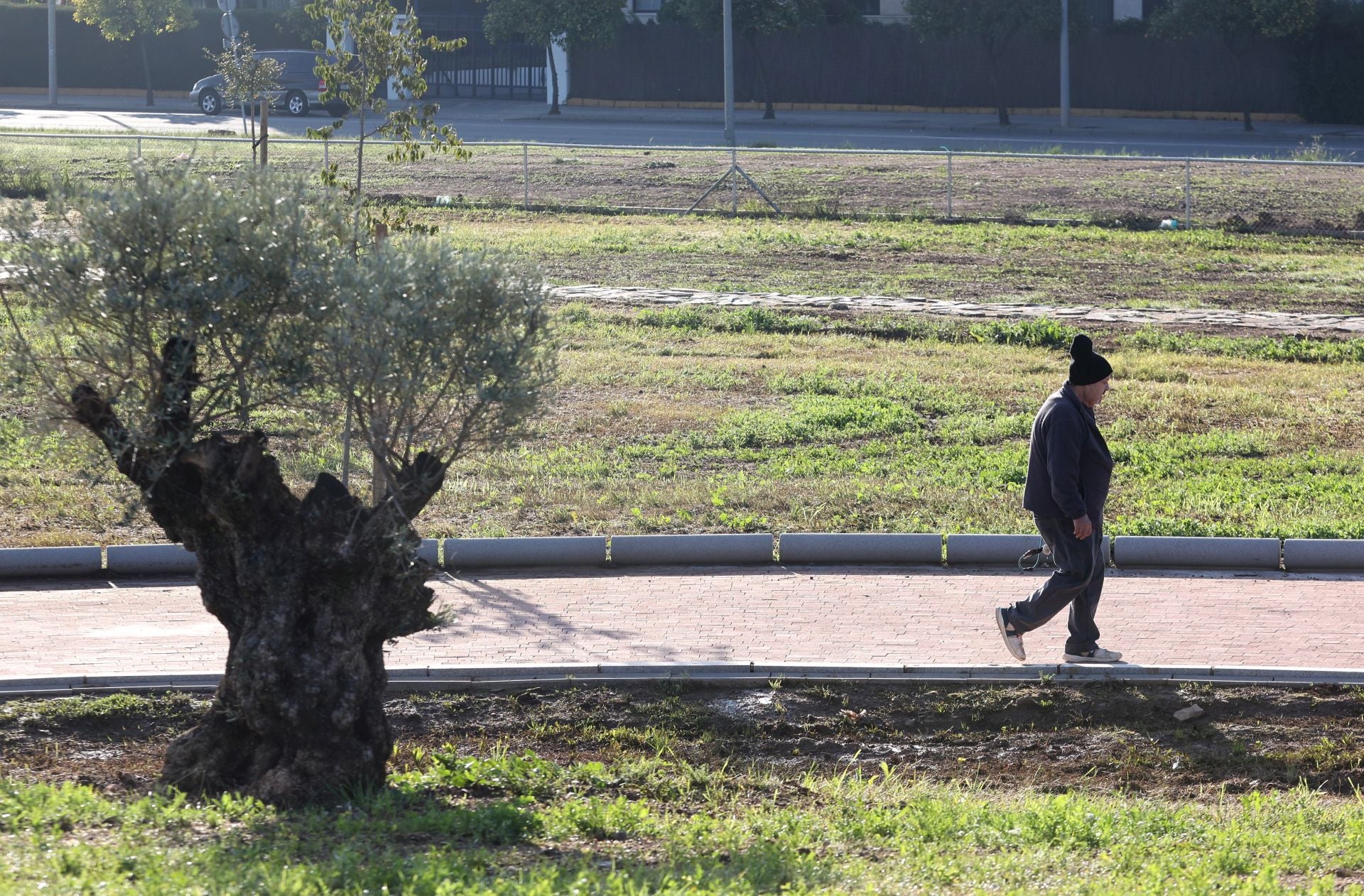 El final de las obras del parque Princesa de Asturias en Córdoba, en imágenes