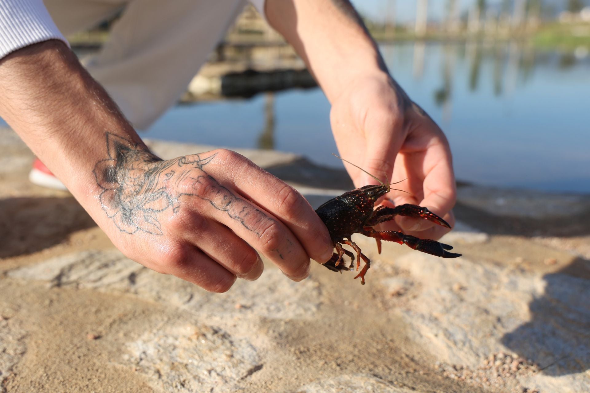 El final de las obras del parque Princesa de Asturias en Córdoba, en imágenes