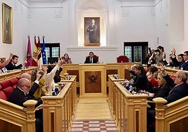 Vox condiciona su apoyo a los presupuestos de Toledo a recortar los 103.000 euros de cooperación