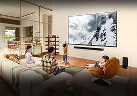 FALSA - Publi - Suizo