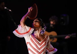La gran gala final que pone el broche al Concurso Nacional de Arte Flamenco en Córdoba, en imágenes