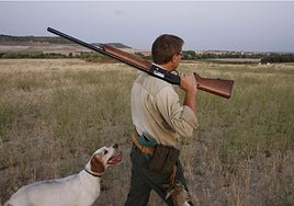 Desarticulado en Montalbán un grupo especializado en el robo de perros de caza de alto valor