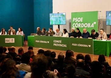 El ministro Planas destaca la inversión del Gobierno en Andalucía en el Comité Provincial del PSOE