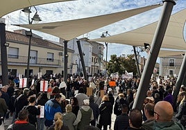 Cientos de vecinos de municipios de La Sagra se manifiestan contra la planta de biogás que Verdalia construye en Villaluenga