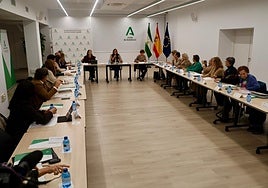 La Junta lanza una aplicación antihackeo para luchar contra la ciberviolencia de género