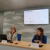 Imagen - Aragón está en situación de epidemia de gripe y se declara el nivel 2 de riesgo para la provincia de Zaragoza