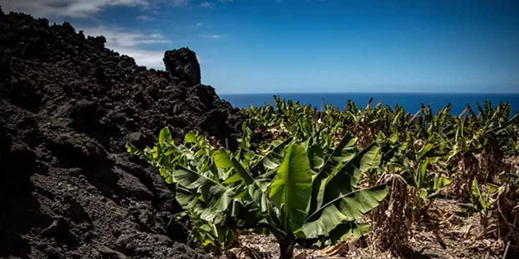 El Gobierno aprueba un Real Decreto-ley que libera los 100 millones de ayuda a La Palma tras el volcán