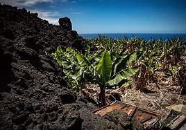 El Gobierno aprueba un Real Decreto-ley que libera los 100 millones de ayuda a La Palma tras el volcán