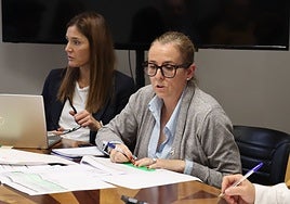 Obras y Servicios se lleva más de 41 millones del presupuesto de Toledo para 2026 y refuerza con  un millón parques y jardines