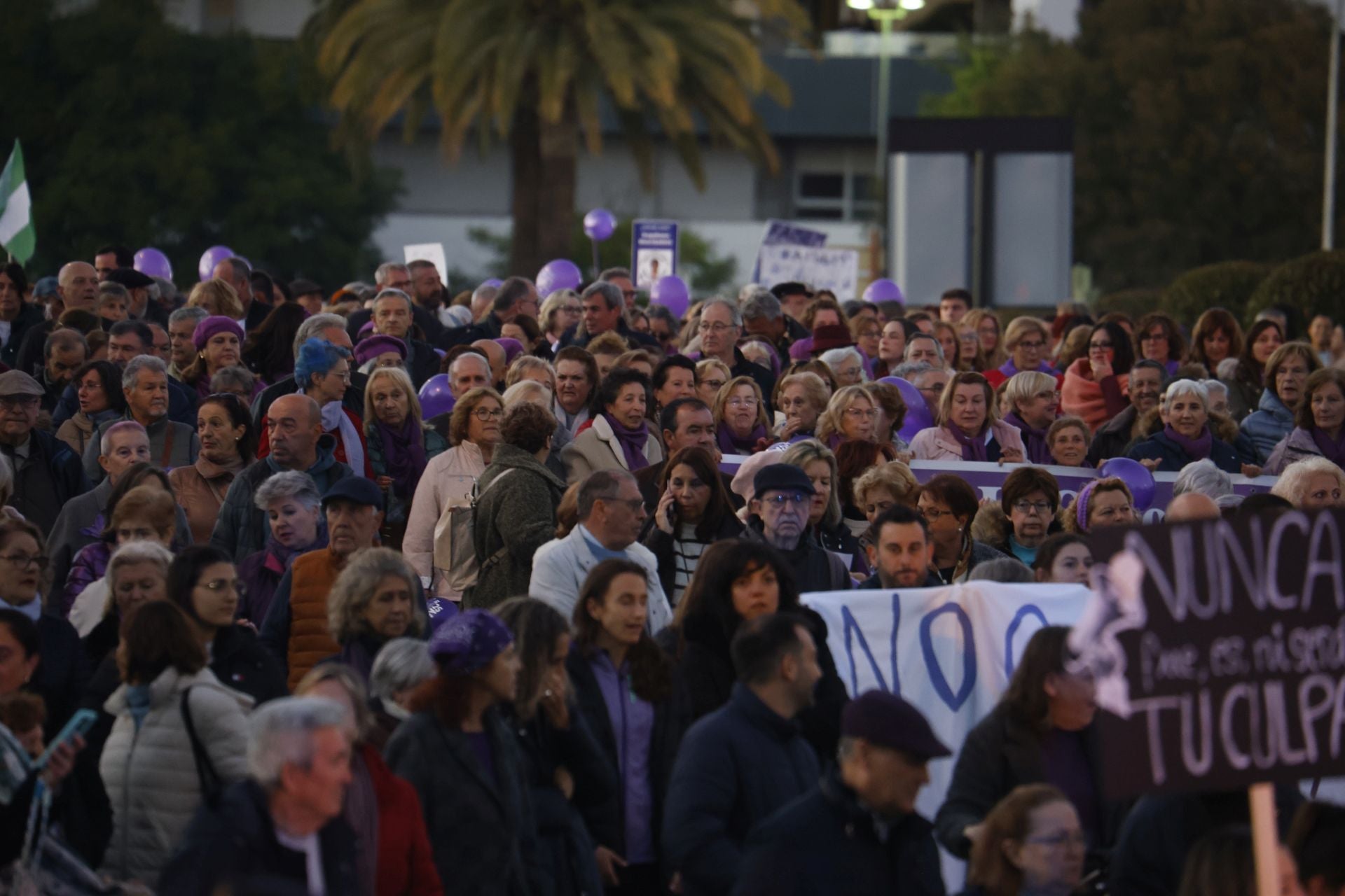 La concurrida protesta del 25-N en Córdoba, en imágenes