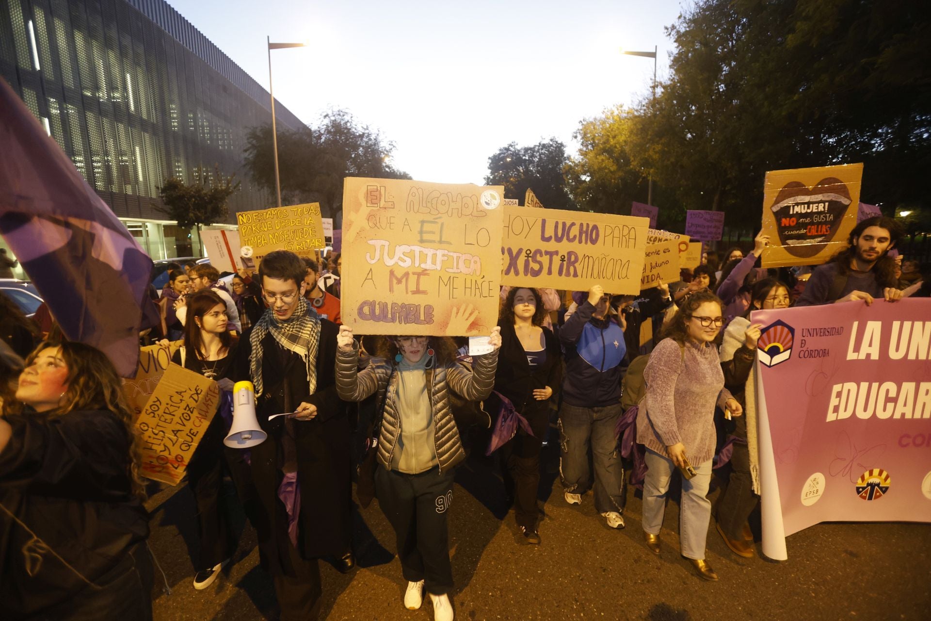 La concurrida protesta del 25-N en Córdoba, en imágenes