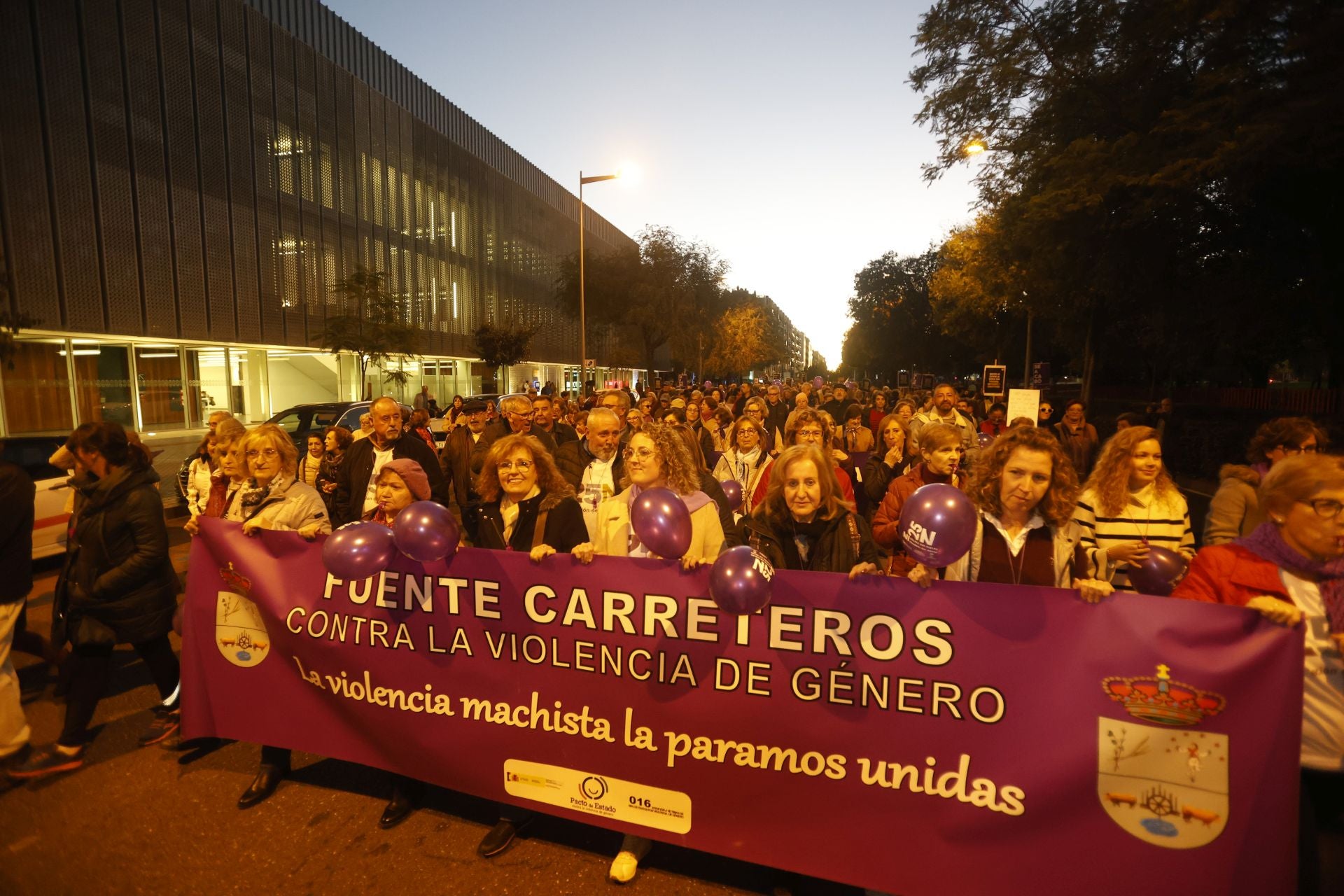 La concurrida protesta del 25-N en Córdoba, en imágenes