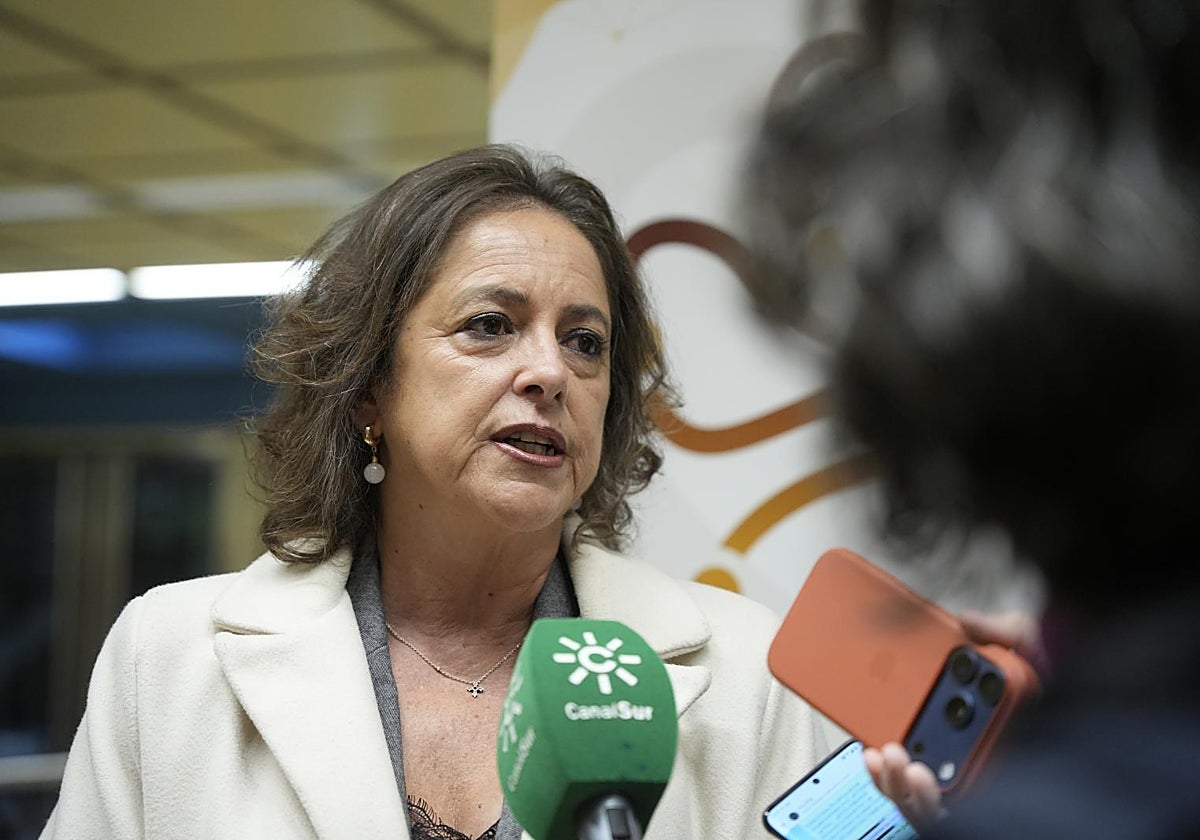Catalina García es la actual consejera de Sostenibilidad, Medio Ambiente y Economía Azul