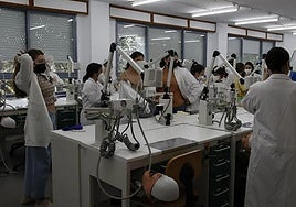 La Junta de Andalucía ofrecerá un «erasmus laboral» a los NiNi