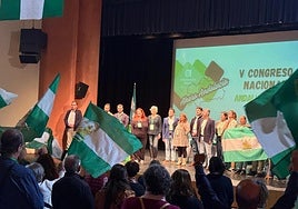 Los andalucistas se rearman para volver a tener voz en el Parlamento