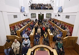 Cermi lleva a las Cortes las barreras que afrontan las personas con discapacidad