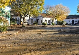 Los trabajadores del camping de Villaviciosa de Córdoba denuncian impagos y abandono