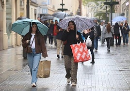 Las calles de Córdoba ya rebosan del ambiente de la Navidad: el Black Friday abre la campaña más intensa