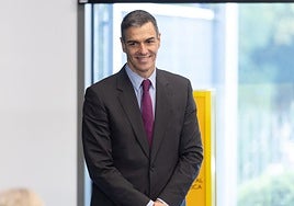 Sánchez cumple las exigencias de Otegi: reduce un 54% los etarras presos