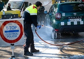 La 'teoría del bocata': principal hipótesis del brote de peste porcina detectado en Cataluña