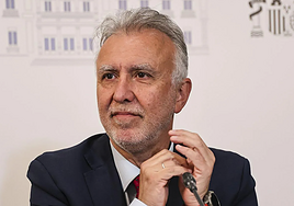 Torres asegura que sufre una «campaña» para «manchar» su imagen