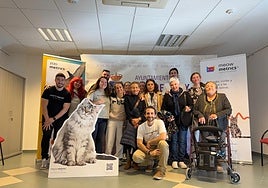 Olías del Rey en Toledo revoluciona el control de colonias felinas con tecnología pionera