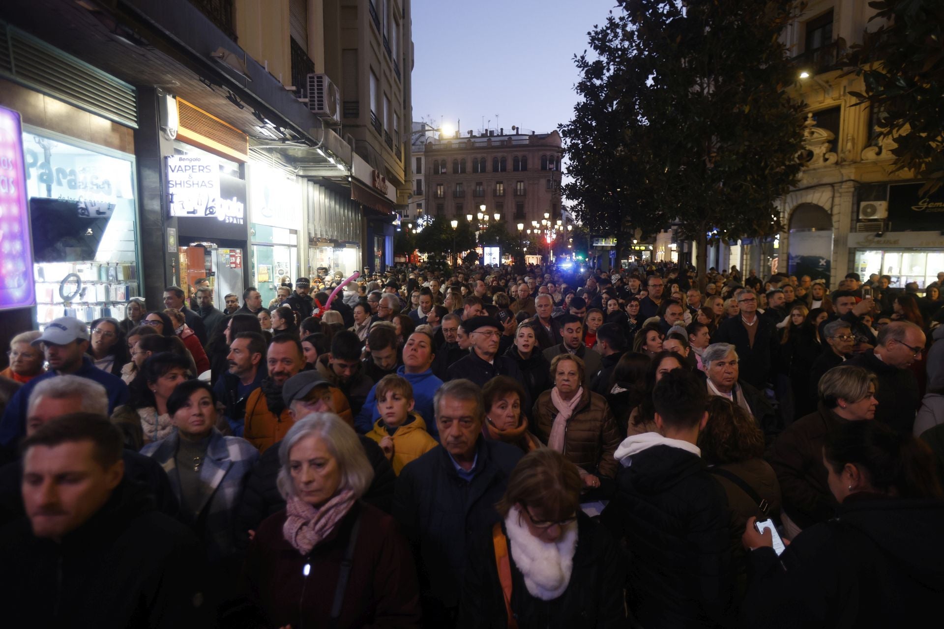 El encendido del espectáculo de luz y música de Córdoba, en imágenes