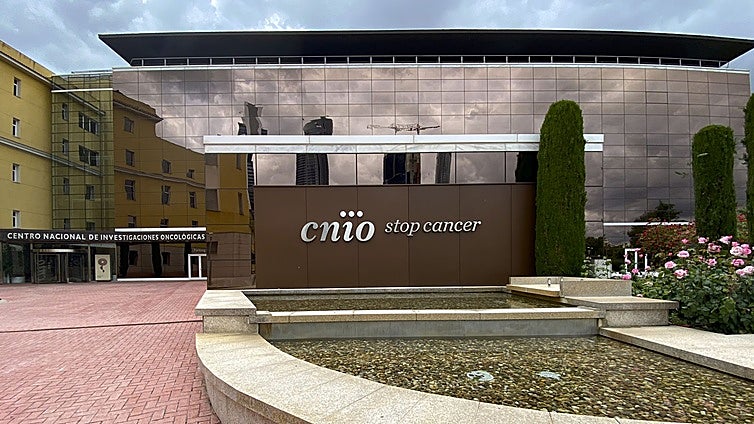 Despedidos del CNIO siguen trabajando al no tener notificación de su cese