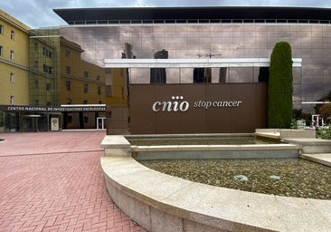 Despedidos del CNIO siguen trabajando al no tener notificación de su cese